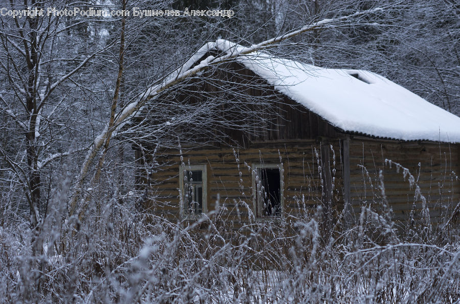 Cabin, Hut, Rural, Shack, Shelter, Building, Cottage