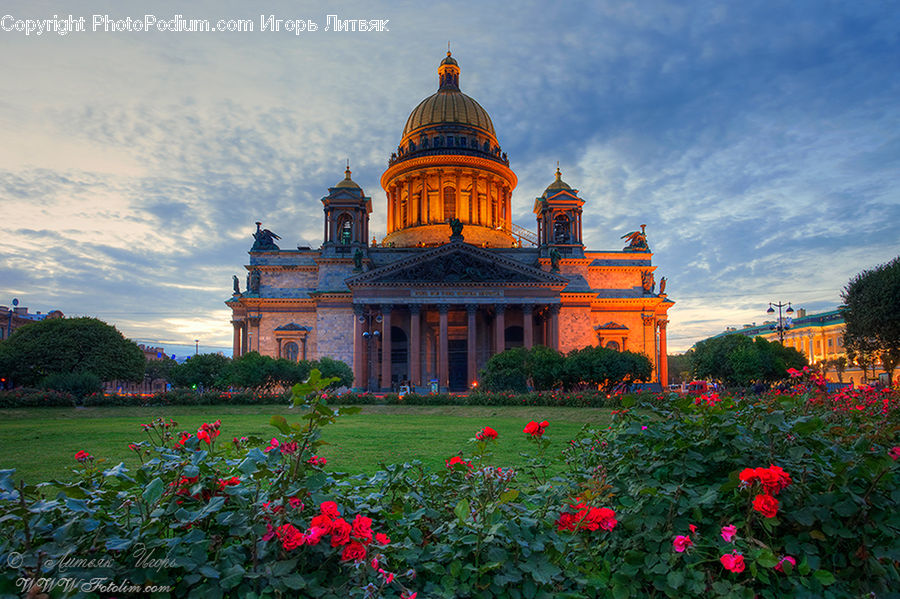 Architecture, Dome, Cathedral, Church, Worship, Garden, Blossom