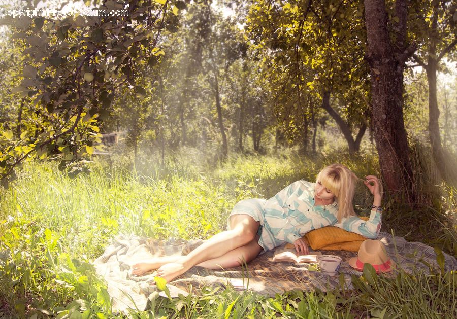 People, Person, Human, Picnic, Blonde, Female, Woman