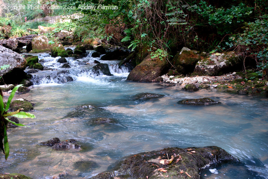 Creek, Outdoors, River, Water, Forest, Jungle, Rainforest