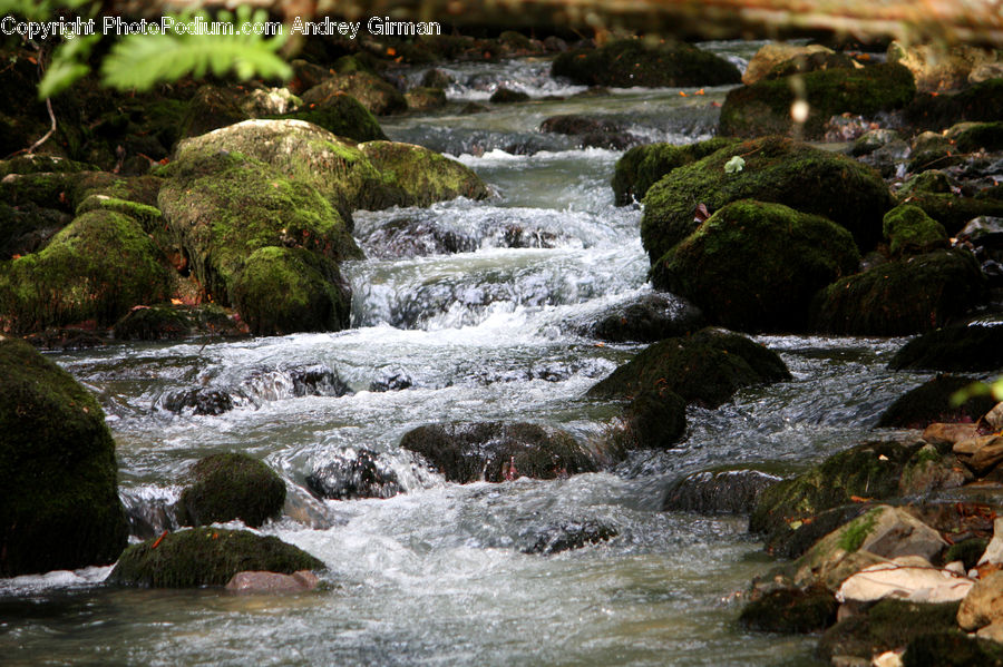 Creek, Outdoors, River, Water, Moss, Plant, Rock
