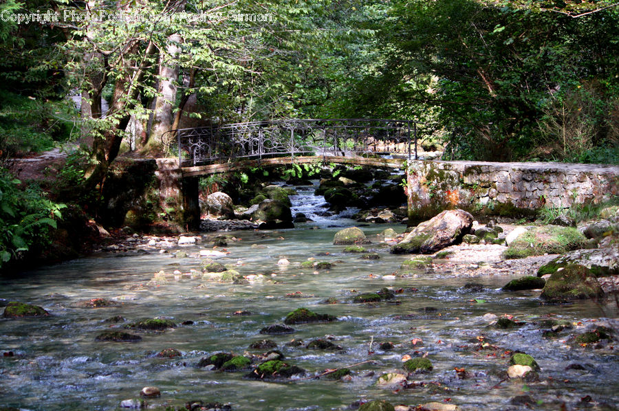 Creek, Outdoors, River, Water, Forest, Jungle, Rainforest