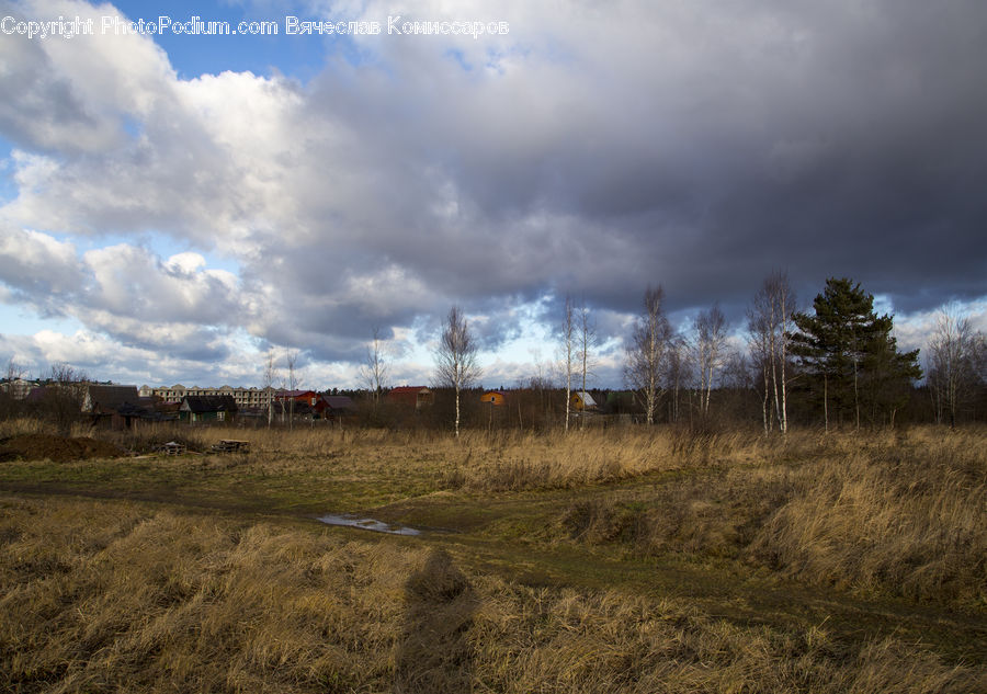 Field, Grass, Grassland, Land, Outdoors, Marsh, Pond