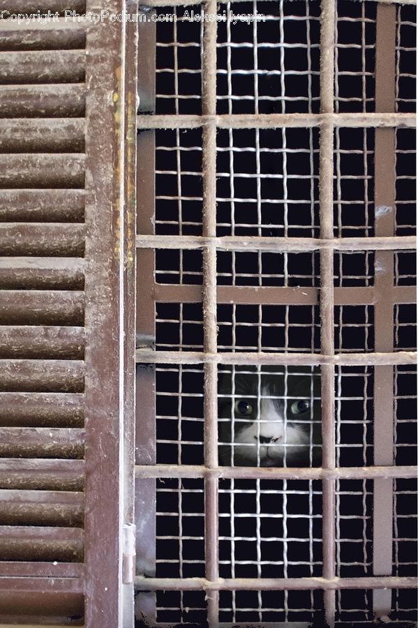 Brick, Shutter, Window, Window Shade