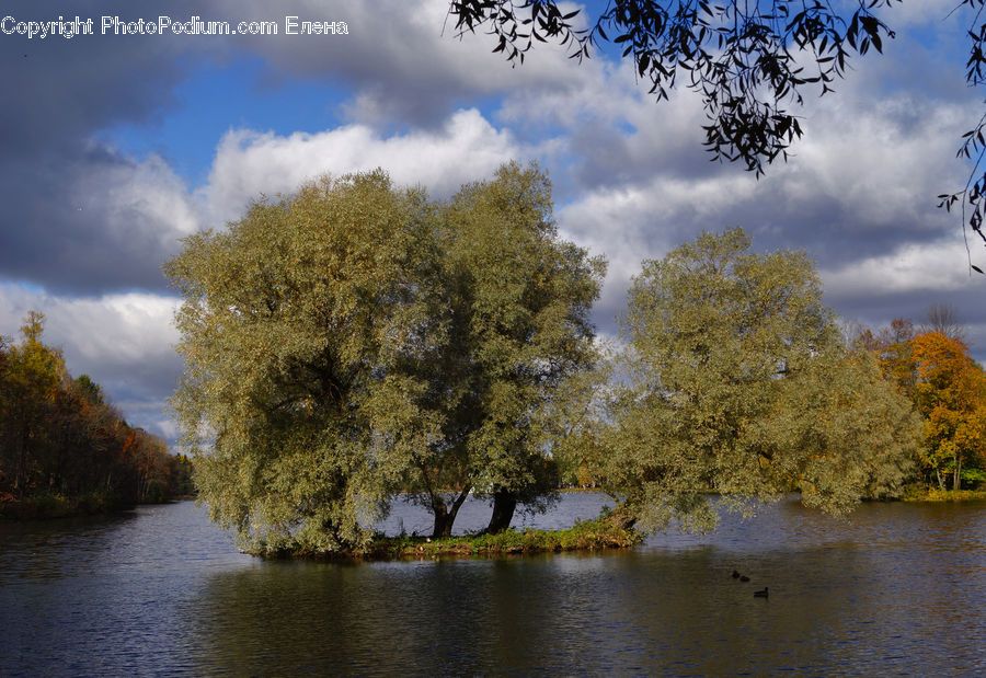Outdoors, River, Water, Plant, Tree, Landscape, Nature