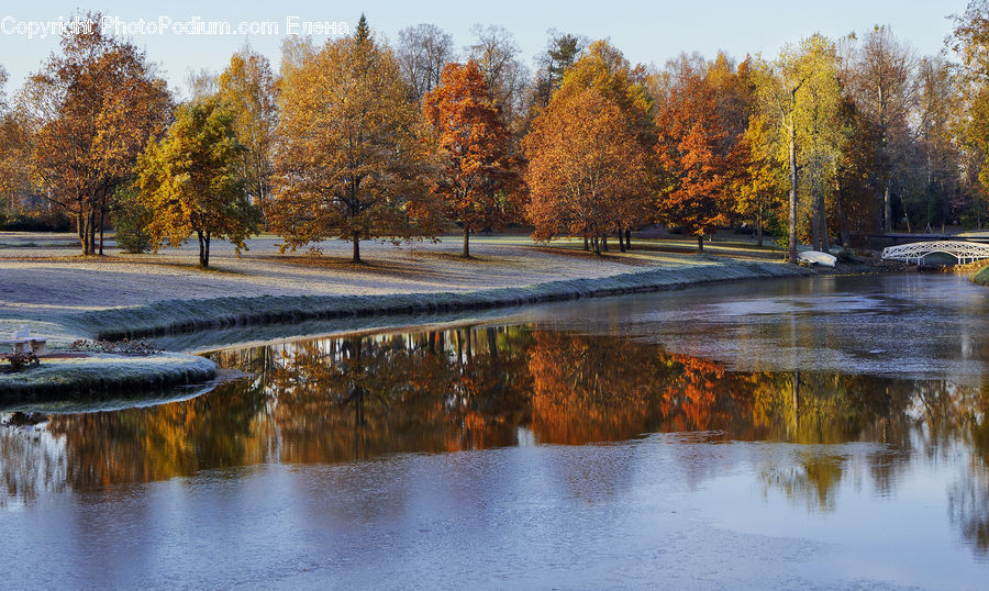 Water, Land, Marsh, Outdoors, Swamp, Pond, River