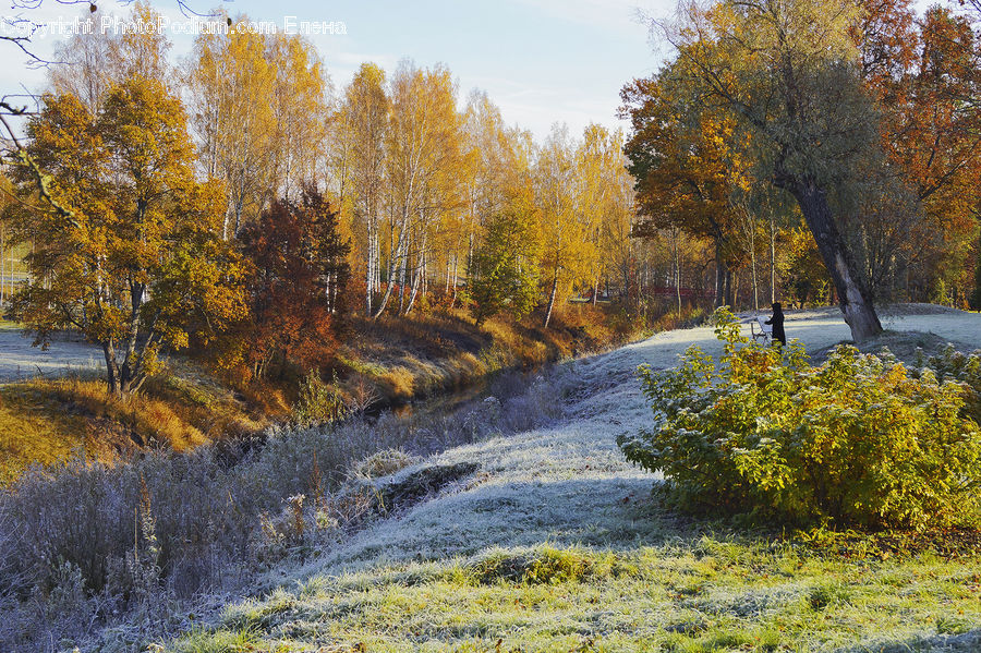 Dirt Road, Gravel, Road, Creek, Outdoors, River, Water