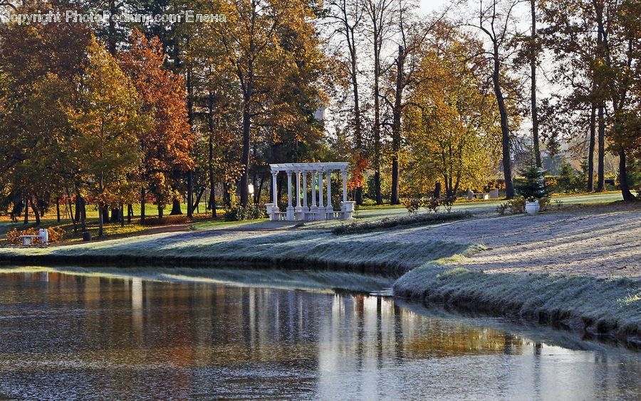 Park, Boardwalk, Deck, Path, Sidewalk, Walkway, Landscape