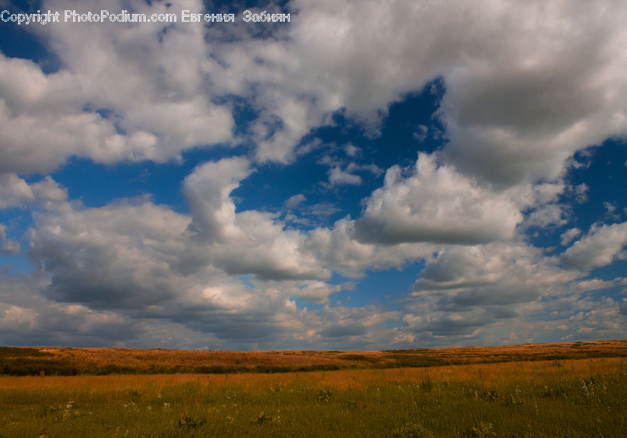 Azure Sky, Cloud, Outdoors, Sky, Cumulus, Field, Grass