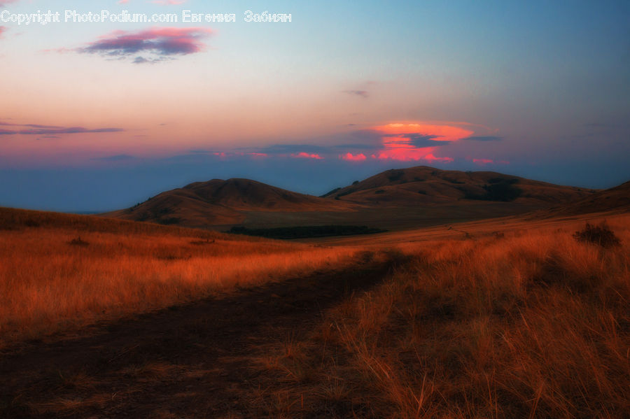 Field, Grass, Grassland, Land, Outdoors, Desert, Dawn