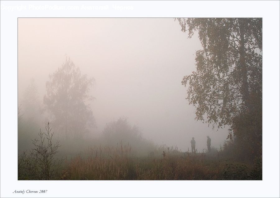 Fog, Mist, Outdoors, Dawn, Dusk, Sky, Sunrise