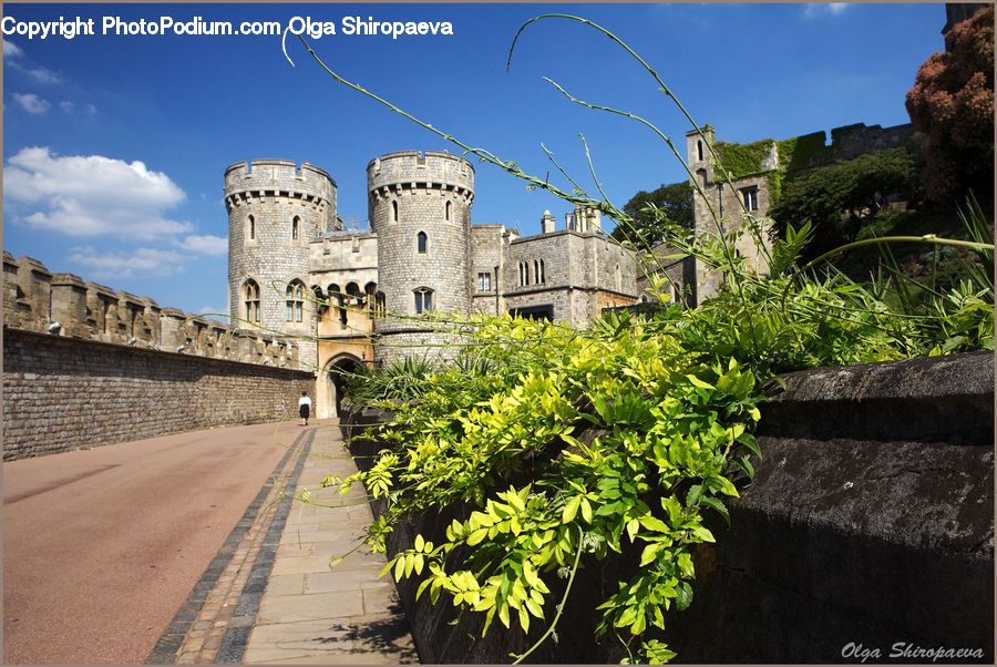 Architecture, Castle, Fort, Plant, Potted Plant, Patio, Herbal