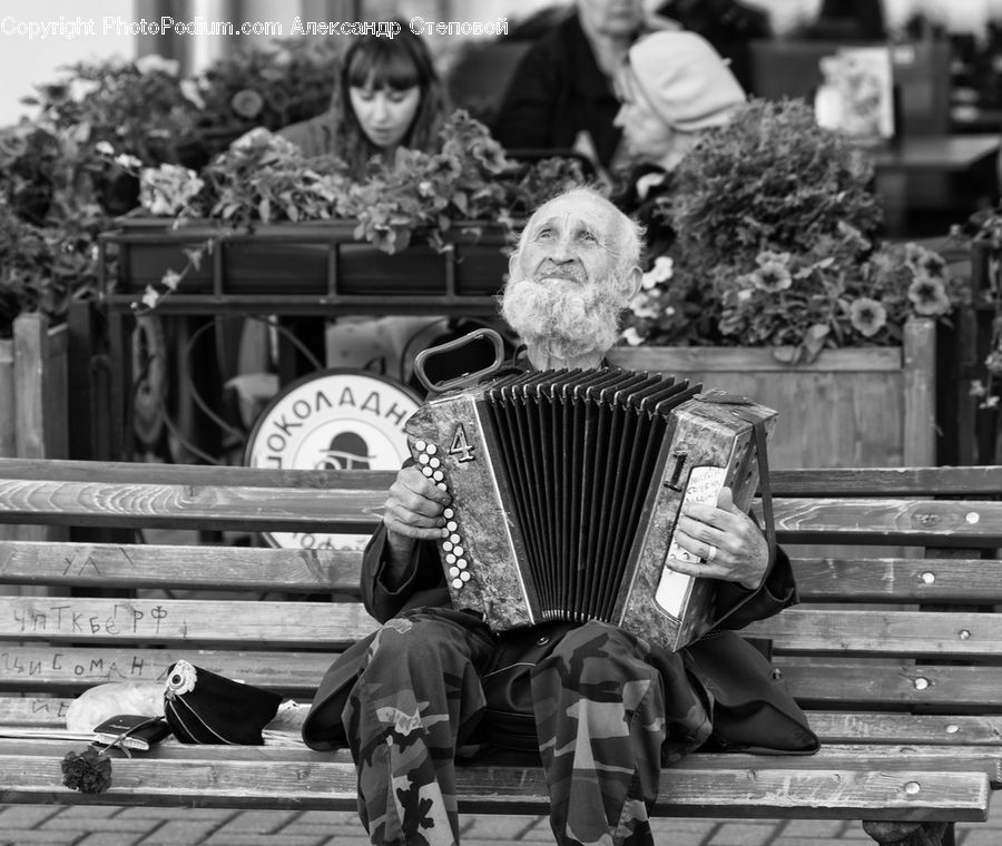 Accordion, Musical Instrument, People, Person, Human, Woman, Portrait