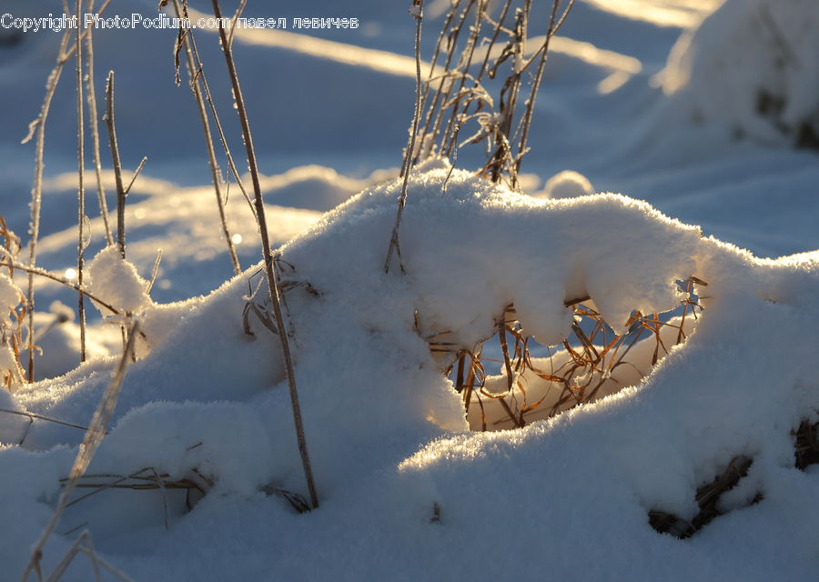 Ice, Outdoors, Snow, Frost, Arctic, Winter, Field