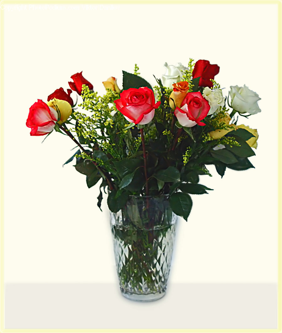 Blossom, Flower, Plant, Rose, Floral Design, Flower Arrangement, Flower Bouquet