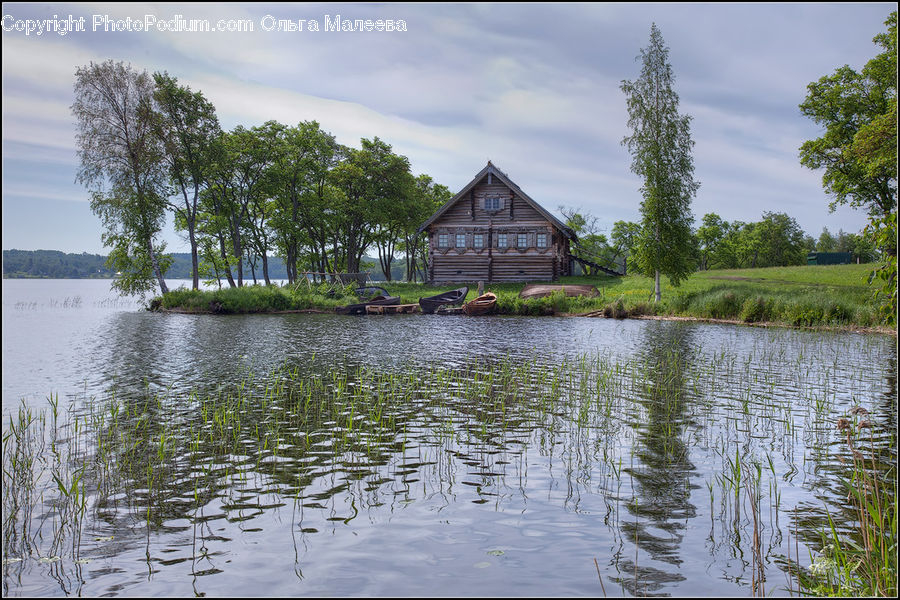 Land, Marsh, Outdoors, Swamp, Water, Building, Cottage