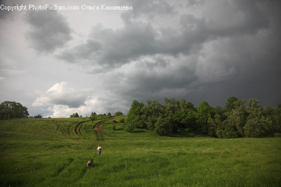 Field, Grass, Grassland, Land, Outdoors, Lawn, Plateau