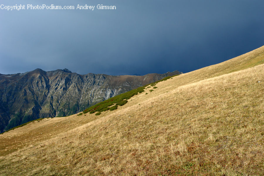 Field, Grass, Grassland, Land, Outdoors, Plant, Plateau
