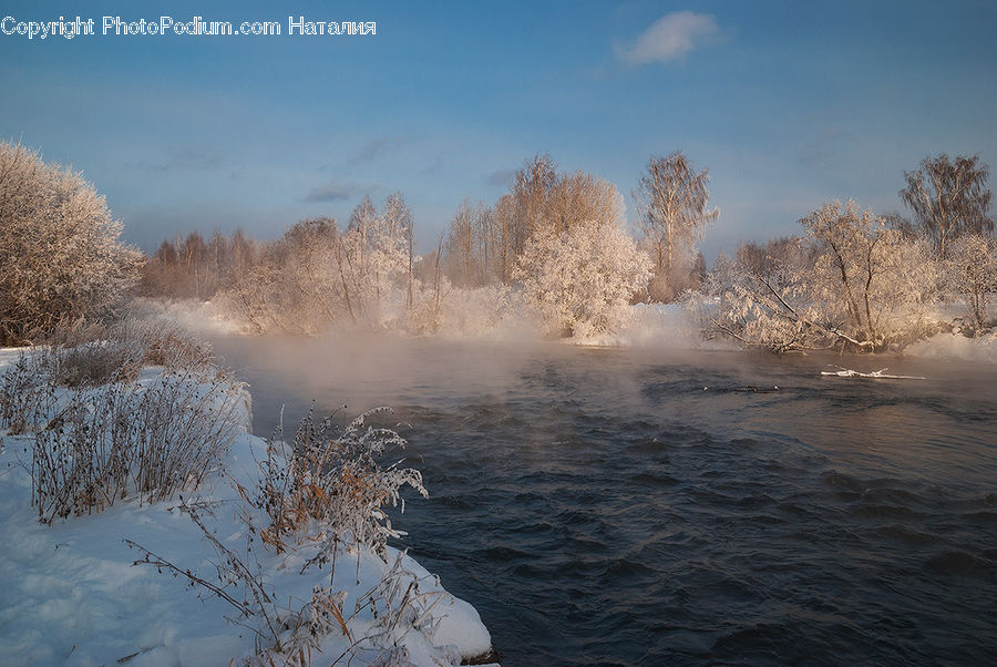 Frost, Ice, Outdoors, Snow, Land, Marsh, Pond