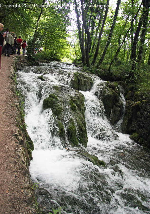 Creek, Outdoors, River, Water, Waterfall, Forest, Jungle