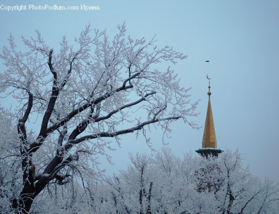 Architecture, Bell Tower, Clock Tower, Tower, Frost, Ice, Outdoors