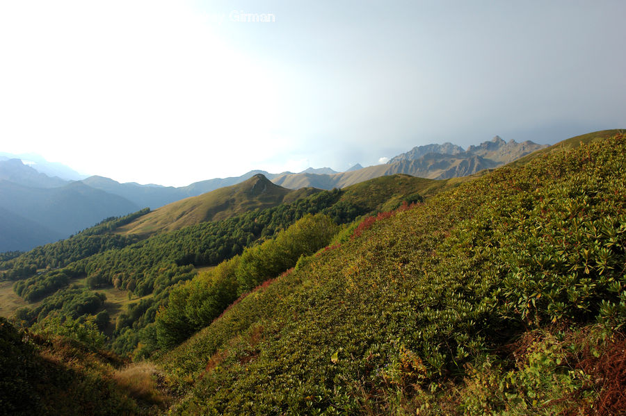 Countryside, Hill, Outdoors, Crest, Mountain, Peak, Bush