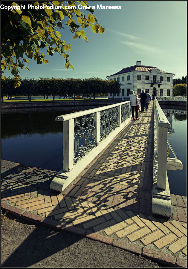 Boardwalk, Deck, Path, Sidewalk, Walkway, Dock, Landing