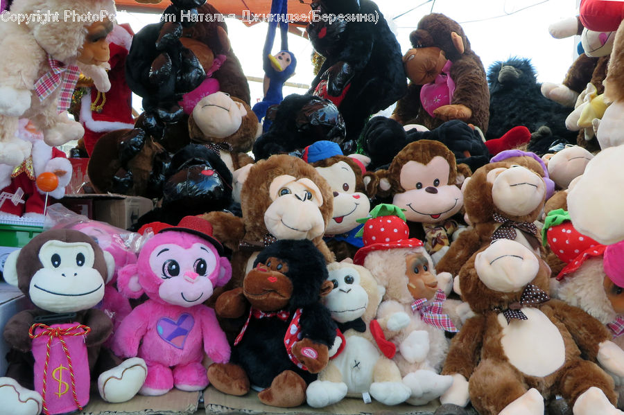 People, Person, Human, Teddy Bear, Toy, Doll, Crowd