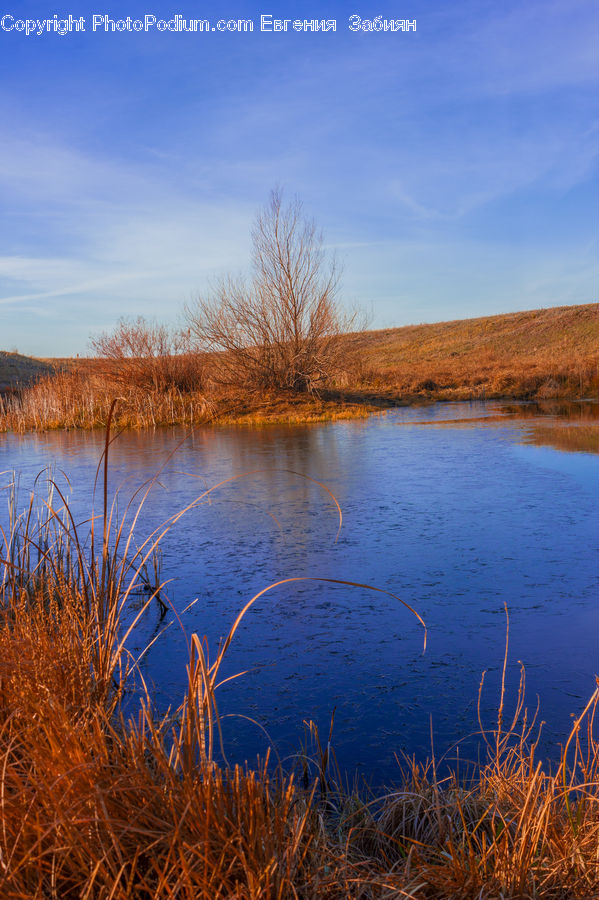 Lake, Outdoors, Water, Field, Grass, Grassland, Plant