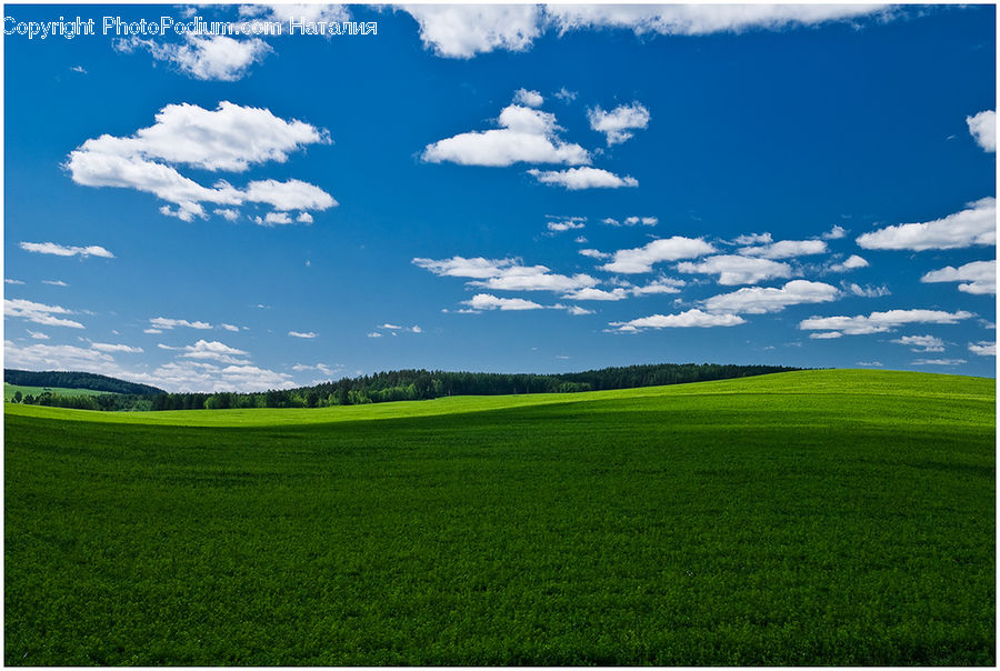 Field, Grass, Grassland, Land, Outdoors, Cloud, Cumulus