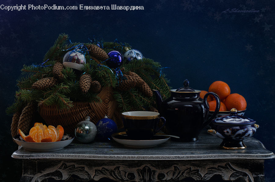 Pot, Pottery, Teapot, Coral Reef, Outdoors, Reef, Sea