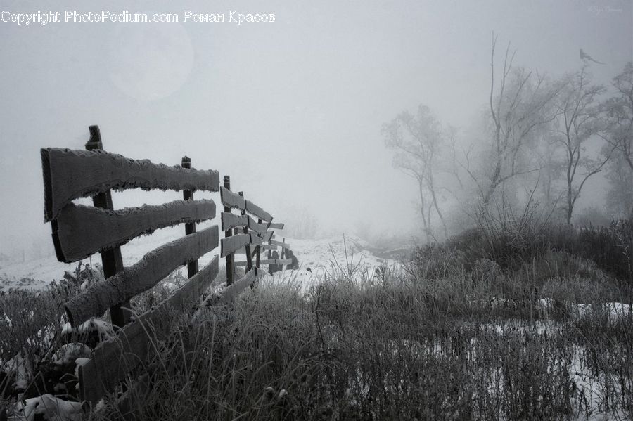 Fence, Bench, Frost, Ice, Outdoors, Snow, Countryside