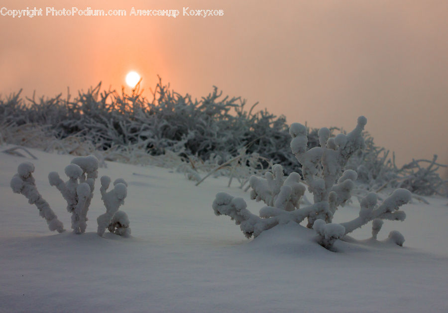 Ice, Outdoors, Snow, Blizzard, Weather, Winter, Arctic