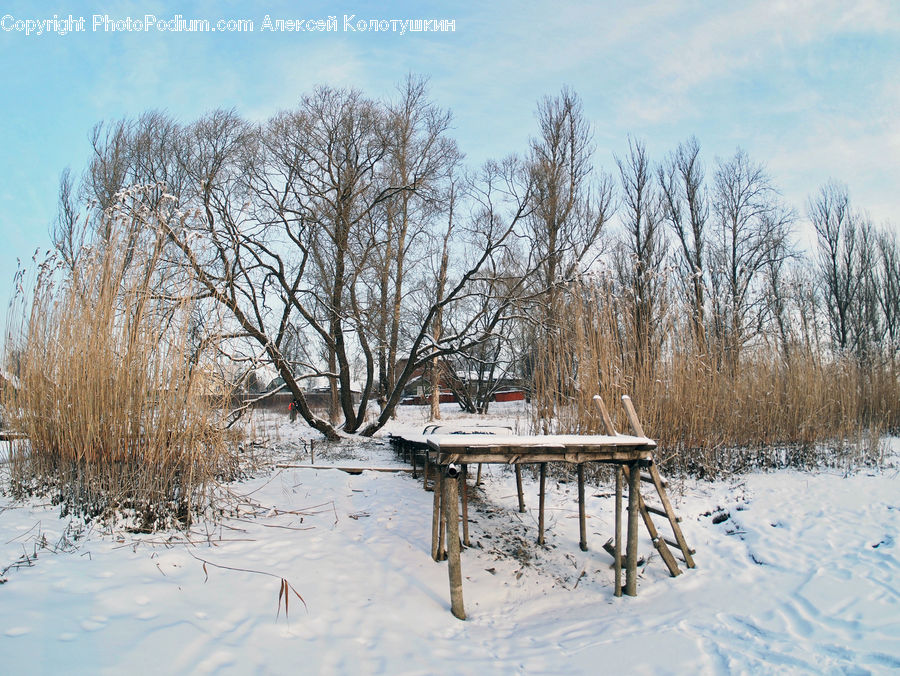 Cabin, Hut, Rural, Shack, Shelter, Bench, Ice