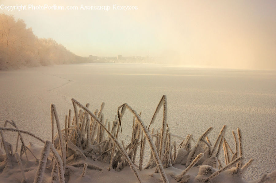 Outdoors, Sand, Soil, Frost, Ice, Snow, Grass