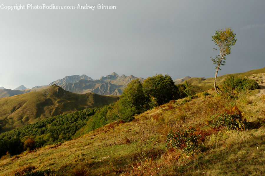 Field, Grass, Grassland, Land, Outdoors, Countryside, Hill