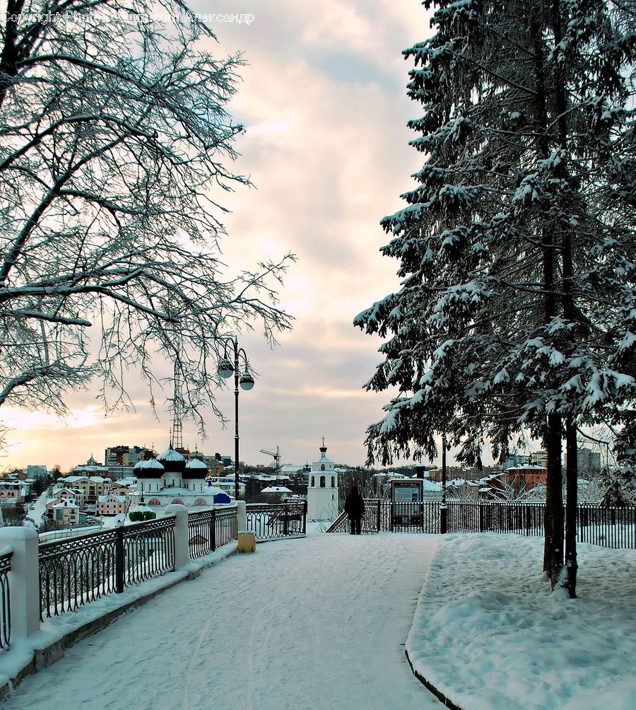 Landscape, Nature, Scenery, Building, Downtown, Town, Conifer