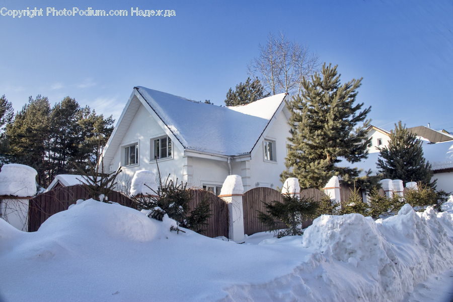 Building, Cottage, Housing, Ice, Outdoors, Snow, Conifer