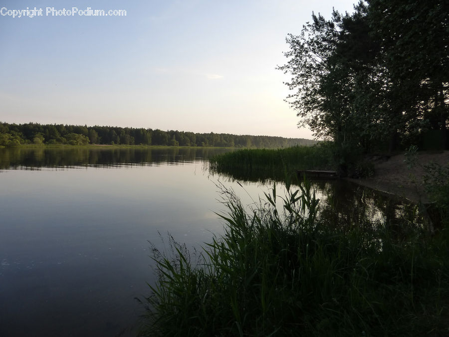 Land, Marsh, Pond, Swamp, Water, Outdoors, Field