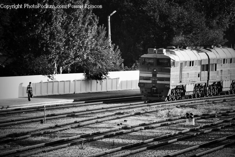 Train, Vehicle, Rail, Train Track, Alley, Alleyway, Road