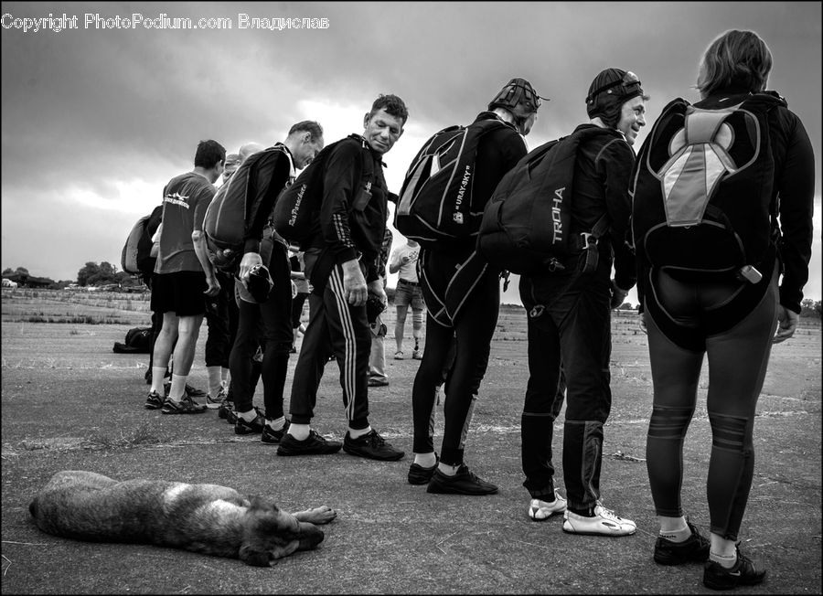 Human, People, Person, Backpack, Bag, Crowd, Team
