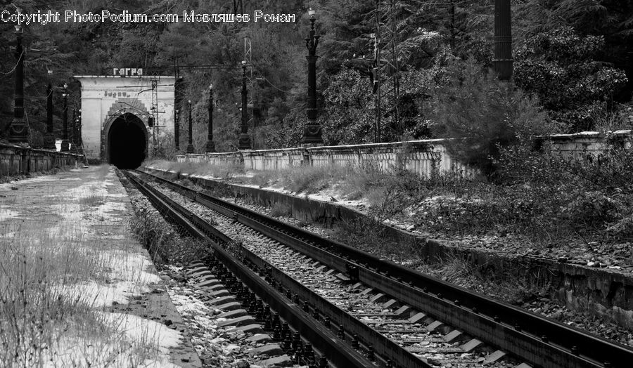 Tunnel, Water, Boardwalk, Deck, Path, Sidewalk, Walkway