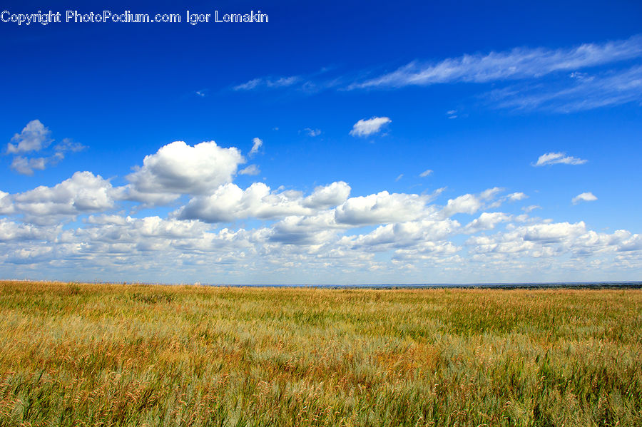 Azure Sky, Cloud, Outdoors, Sky, Field, Grass, Grassland