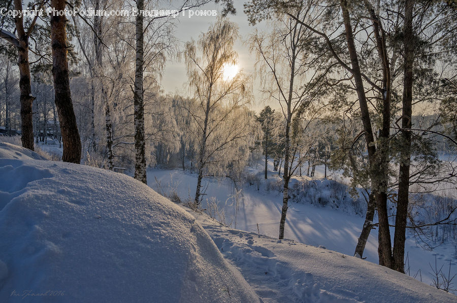 Blizzard, Outdoors, Snow, Weather, Winter, Landscape, Nature