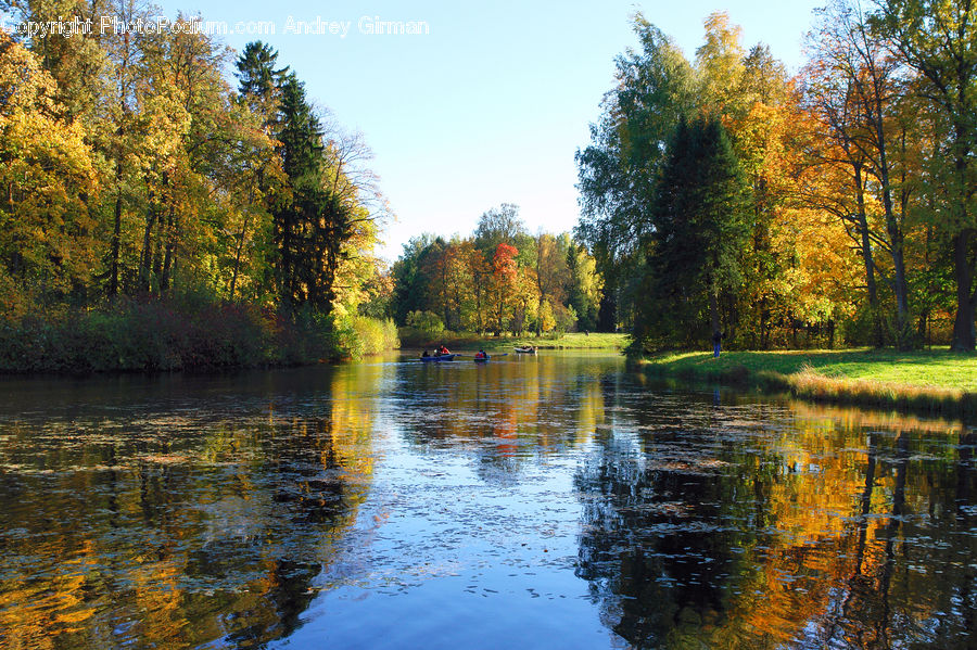 Outdoors, River, Water, Forest, Vegetation, Canal, Pond