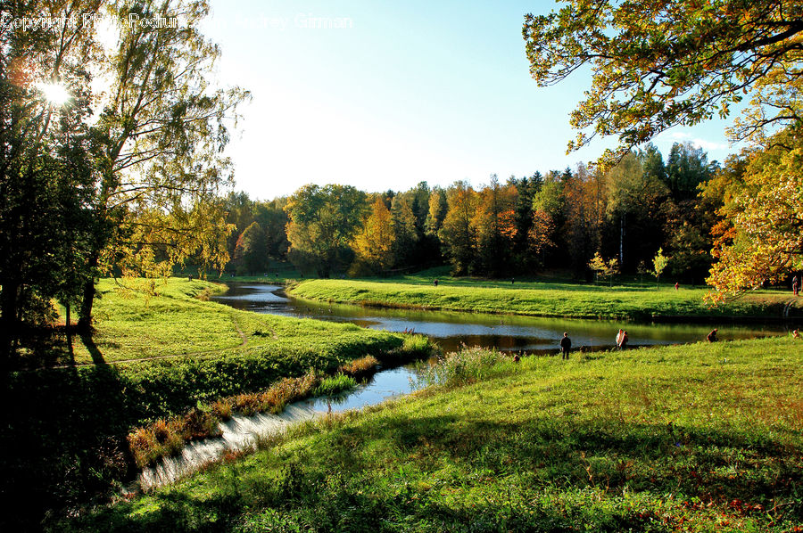 Field, Grass, Grassland, Meadow, Outdoors, Pasture, Land