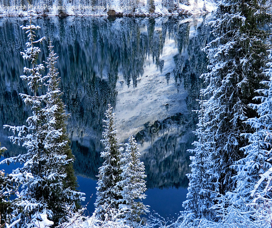 Frost, Ice, Outdoors, Snow, Arctic, Glacier, Mountain