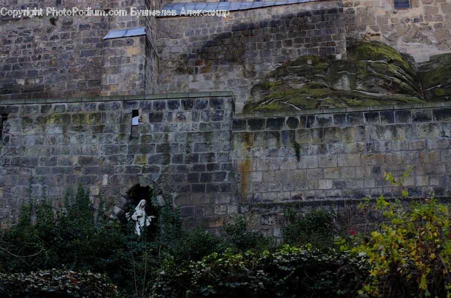 Ivy, Plant, Vine, Castle, Fort, Bush, Vegetation