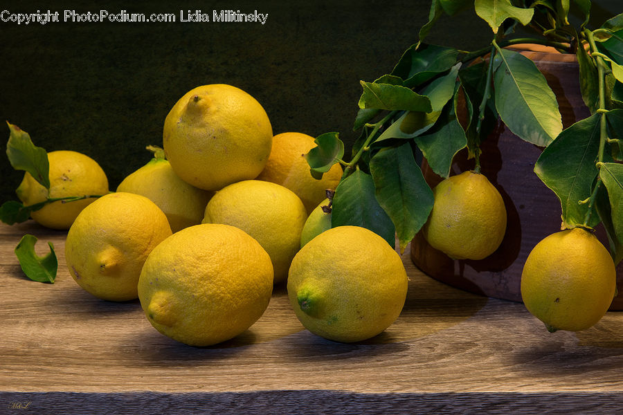 Citrus Fruit, Fruit, Orange, Grapefruit, Lemon, Pomelo, Acanthaceae