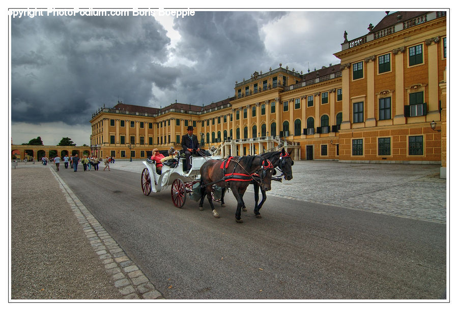 Animal, Horse, Mammal, Carriage, Horse Cart, Vehicle, Architecture